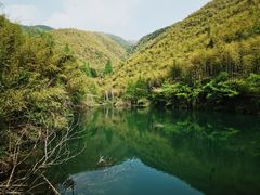 -莫干山风景区