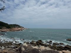 -广东惠东海龟国家级自然保护区
