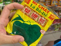 -芽庄中心购物广场