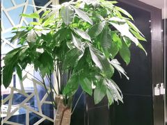 -皇城根·鲁菜济南菜·吊炉烤鸭·炒鸡鱼头(济南旗舰店)
