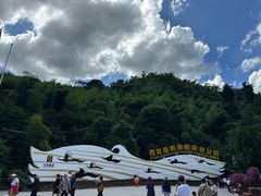 -西双版纳原始森林公园