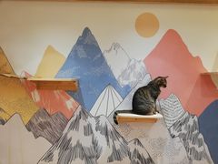 -滚猫咖啡·猫咖·猫友好撸猫(未来城店)
