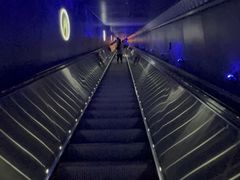 -白鹤梁水下博物馆