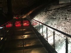 -世界恐龙谷景区