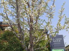 -蟠龙天地-P2停车场