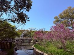 -共青国家森林公园-售票处