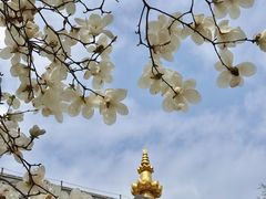 -护国法轮寺