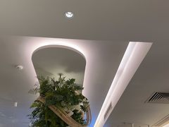 -Aqua Oasis 水天堂(太湖中心mall店)