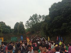 iphone_upload_pic-清溪大王山森林公园