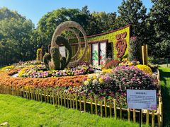 -上海共青森林公园