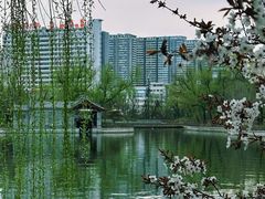 -迎泽公园