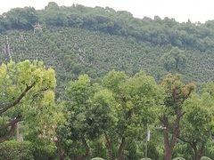 -杭州半山国家森林公园