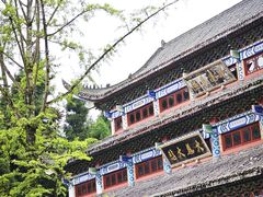 -武陵山森林公园