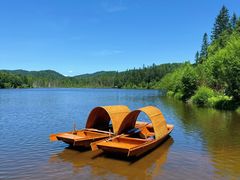 -五营红松林海景区
