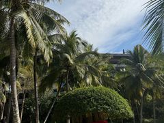 -海南清水湾莱佛士酒店