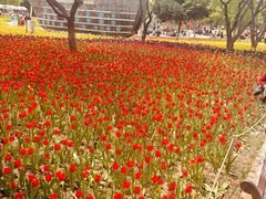 -长春公园(普阳街道)