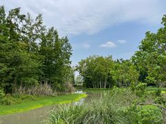 -桤木河湿地公园