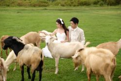 -麦田·婚纱摄影(天河新天地店)