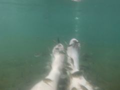 -龙达温泉生态城