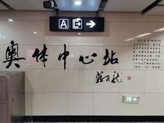 -奥体中心(地铁站)