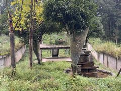 -中国大熊猫保护研究中心雅安碧峰峡基地