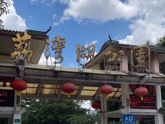 -荔湾湖公园