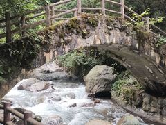 -西岭雪山大飞水景区