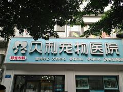 -贝利宠物医院·骨科·眼科·肿瘤转诊中心(南坪诊疗中心)