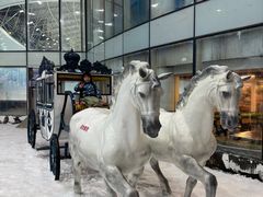 -世界之窗阿尔卑斯冰雪世界