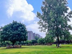 -成都中医药大学(温江校区)