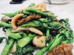 -凤城礼记鱼翅海鲜酒家(新马路总店)