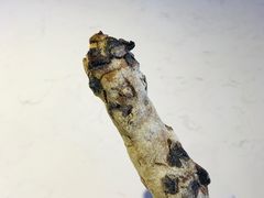 -野上麦田(中贸广场店)