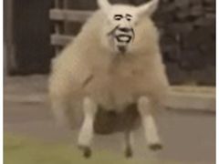 -MAX伯爵沉浸式超级游戏体验馆·实景桌游·剧本杀(小时代店)