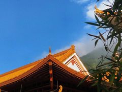 -深圳仙湖植物园
