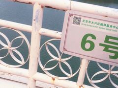 -大兴滨河森林公园