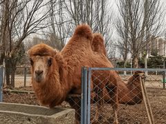 -长白岛森林公园