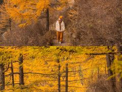 -苏木山森林公园