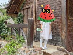 -云南民族村