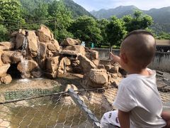 -西安秦岭野生动物园