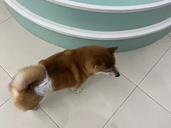 -怪兽屋·羊驼·猫咖·狗咖(俊华广场店)