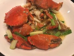 -新南华大酒店(长寿店)