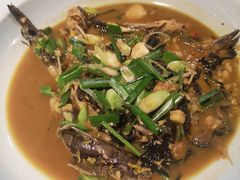 汪刺鱼-陈先进鱼馆·地道农家菜(湖墅南路店)