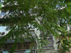 -添發碗仔翅美食