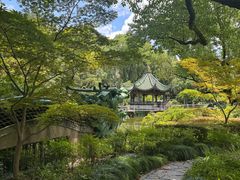 -申粤轩酒楼·三十年粤菜经典(丁香花园店)