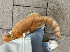 -龙华素斋(龙华路店)