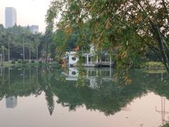-晓港公园