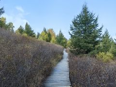 -苏木山森林公园