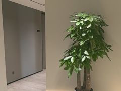 -W·24H茶楼·棋牌·掼蛋(望京店)