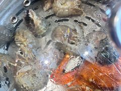 -77号渔船·蒸海鲜青岛菜(积米崖店)