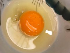 -一本钓鲔鱼屋
